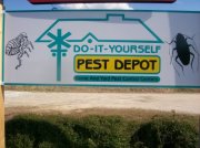 Bugs Etc | FleaMaxx | Wilmington NC | New Hanover County | DIY Pest Control | Pest COntrol Service | ILM Advertiser