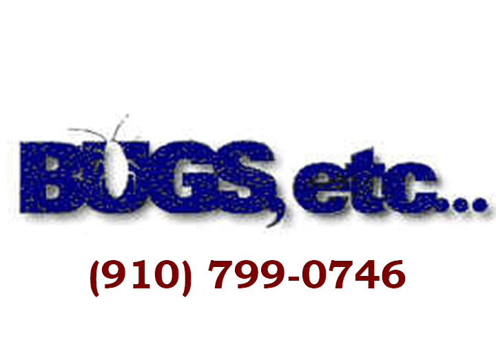 Bugs Etc | FleaMaxx | Wilmington NC | New Hanover County | DIY Pest Control | Pest COntrol Service | ILM Advertiser